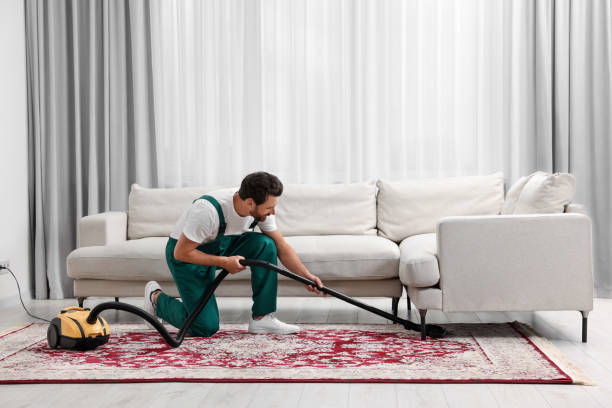 Dry cleaner's employee hoovering carpet with vacuum cleaner in room