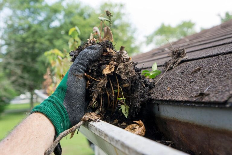 gutter cleaning1