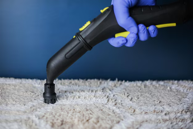 carpet cleaning service