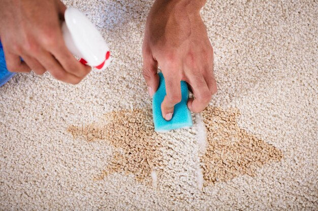 Eliminate Urine Smell From Carpet