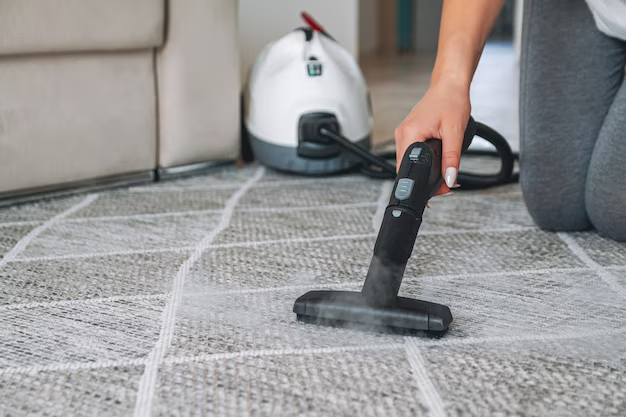 carpet cleaning service cost