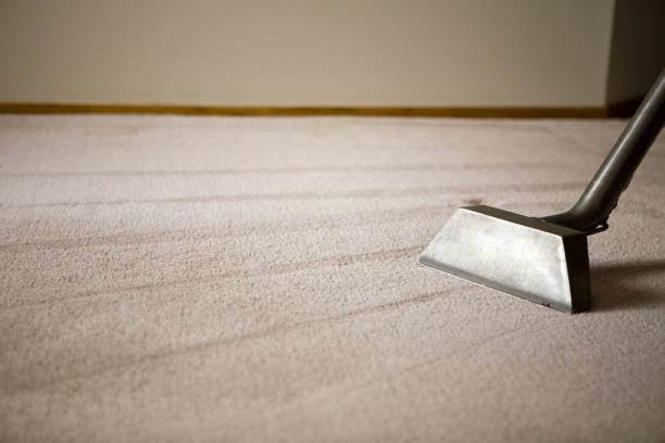 How Often Should You Get Steam Carpet Cleaning in Melbourne?