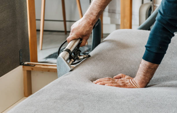 upholstery cleaning doreen