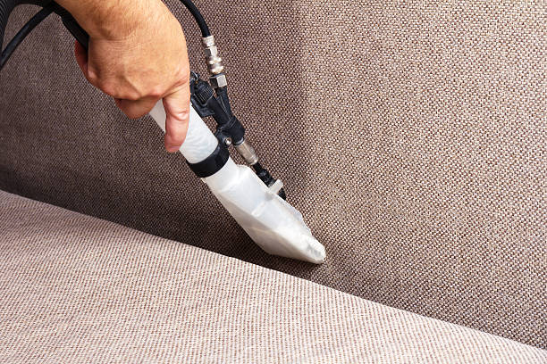 Professional Upholstery Cleaning